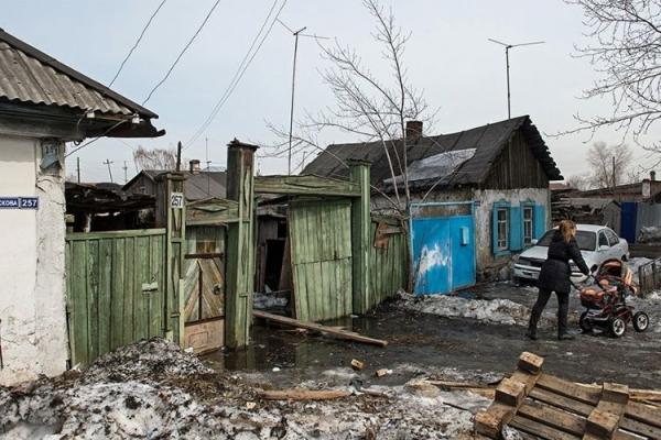 В Рязани женщина едва не пострадала от нападения стаи собак